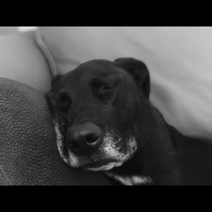 Meet your Posher, Blythe